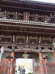 PB181557shuusei.JPG