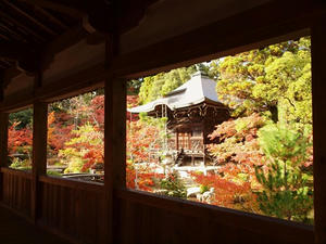 PB181550shuusei.JPG