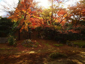 PB181546shuusei.JPG