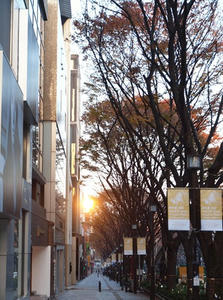PC024882shuusei.JPG