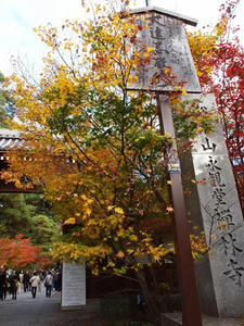 PB181571shuusei.JPG