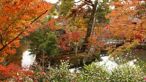 PB181584shuusei.JPG