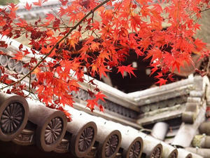 PB181598shuusei.JPG
