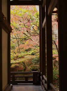 PB181634shuusei.JPG