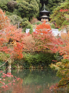 PB181682shuusei.JPG