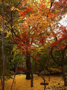 PB181688shuusei.JPG