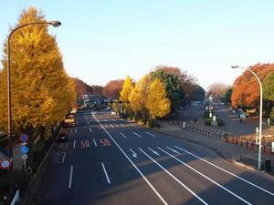 PC024982shuusei.JPG