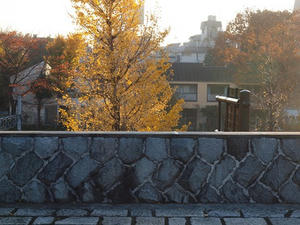 PC024997shuusei.JPG