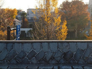 PC024999shuusei.JPG