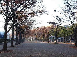 PC025023shuusei.JPG