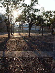 PC025031shuusei.JPG