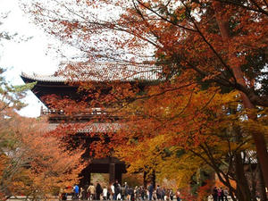 PB181565shuusei.JPG