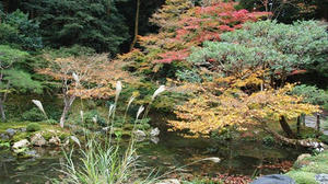 PB181720shuusei.JPG