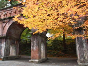 PB181708shuusei.JPG