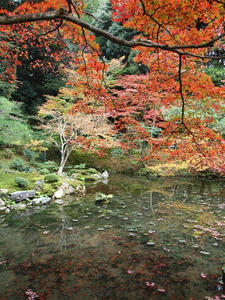 PB181721shuusei.JPG