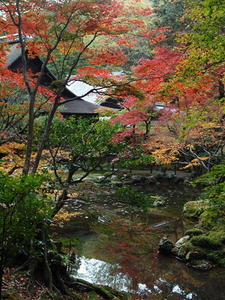 PB181738shuusei.JPG