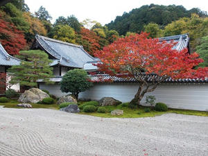 PB181749shuusei.JPG