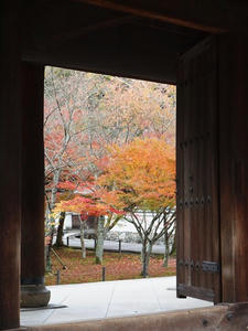 PB181781shuusei.JPG