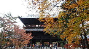 PB181784shuusei.JPG