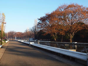 PC025039shuusei.JPG