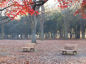 PC025070shuusei.JPG