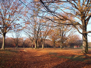 PC025088shuusei.JPG