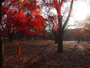 PC025117shuusei.JPG