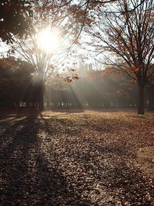 PC025083shuusei.JPG