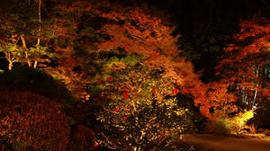 PB181806shuusei.JPG