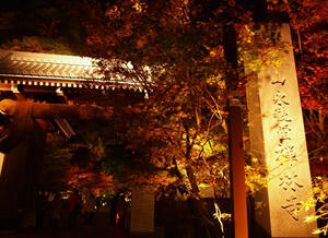 PB181835shuusei.JPG