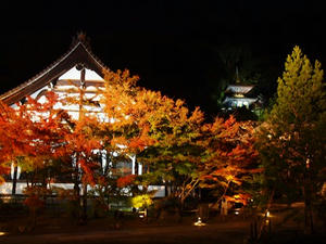 PB181846shuusei.JPG