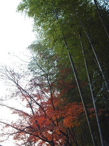 PB241940shuusei.JPG