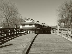 PC065721shuusei.JPG