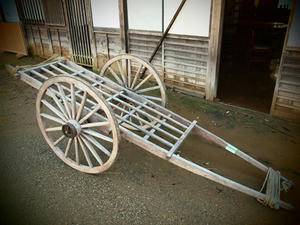 PC065811shuusei.JPG