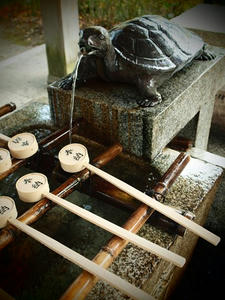 PB242044shuusei.JPG