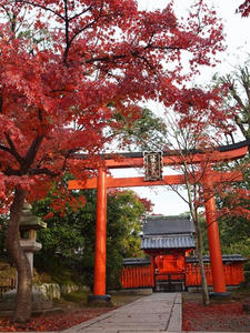 PB242107shuusei.JPG