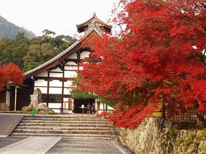 PB242110shuusei.JPG