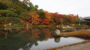 PB242130shuusei.JPG
