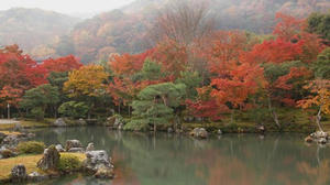 PB242140shuusei.JPG