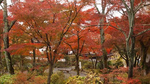 PB242182shuusei.JPG