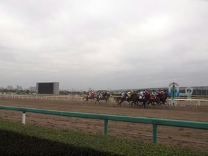 PC096563shuusei.JPG