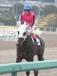 PC096580shuusei.JPG