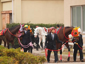 PC096668shuusei.JPG