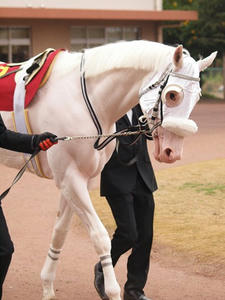 PC096677shuusei.JPG