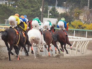 PC096982shuusei.JPG