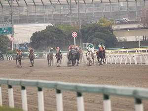 PC096998shuusei.JPG