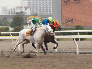 PC097020shuusei.JPG