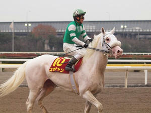PC097060shuusei.JPG