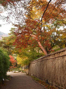 PB242195shuusei.JPG