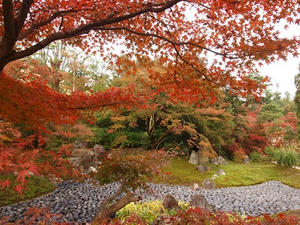 PB242202shuusei.JPG